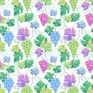 Seamless vector grapes white pattern background. In blue pueple pink green cute pastel colors. Good for wine bar menu decoration, wedding cards and wrapping paper, wallpaper grocery or vinery design