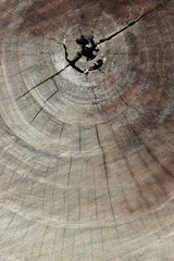 brown wood lumber log texture background