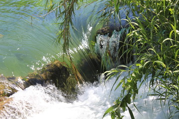 Croatia Krka Waterfall