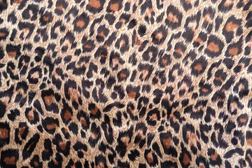 Fototapeten Leopardenhautstruktur © WS Studio 1985