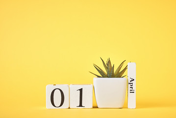 Wooden blocks calendar with date 1st april and plant on the yellow background. April fools day...