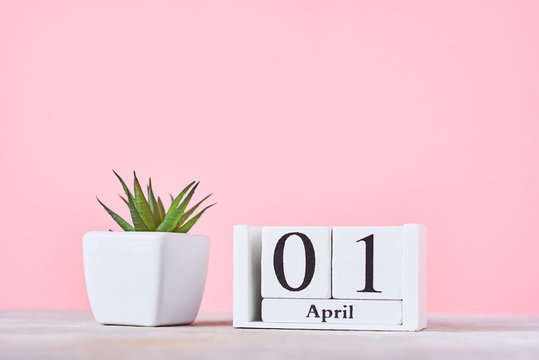 Wooden blocks calendar with date 1st april and plant on the pink background. April fools day concept