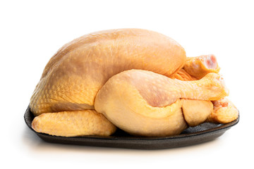 Raw whole corn fed poussin isolated on white