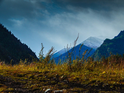 Coming purga in the snow mountains  in autumn