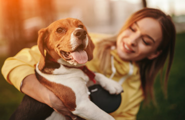 Cheerful dog in embrace of woman