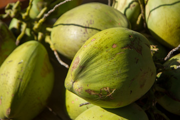 fresh green coconut fruits