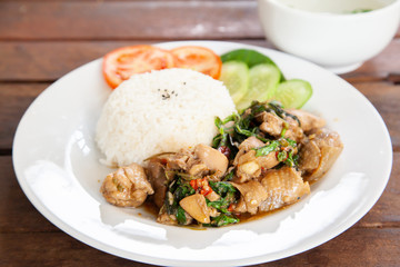 Rice topped with stir fried chicken and basil