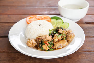 Rice topped with stir fried chicken and basil