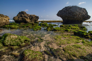 ngrumput beach, Yogyakarta, Indonesia