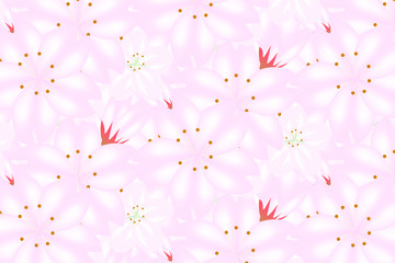 桜壁紙