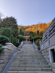 temple in golden trees