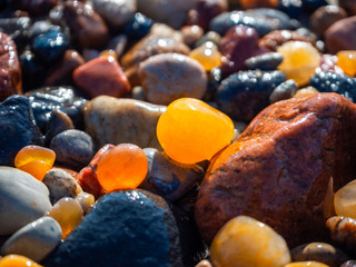 Small amber stone and pebbles on the sandy beach. Shallow wet amber washed by waves. Natural mineral at the Baltic sea coast.  Short focus.