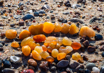 Small amber stone and pebbles on the sandy beach. Shallow wet amber washed by waves. Natural mineral at the Baltic sea coast.  Short focus.