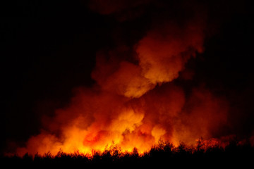 Fototapeta na wymiar Big smoke from the burning sugarcane fields at night cause of pollution and environment impact.