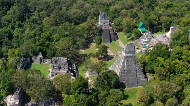 Aerial, tilt up, drone shot overlooking pyramid temples, in Guatemalan jungle, at the ancient Tikal city, on a sunny day, in Peten, Guatemala, Central America