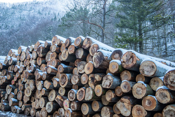Holz Bloch Brennholz