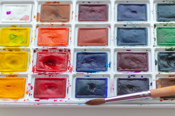 watercolor paints on a white background. Art workshop, art school.
