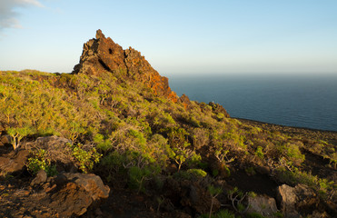 Paisaje volcánico y vegetación costera al pie del océano Atlántico, en la isla canaria de La...