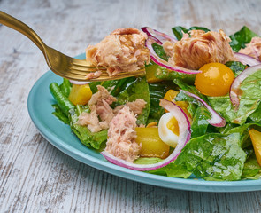 chicken kidney warm salad with greens and avocado