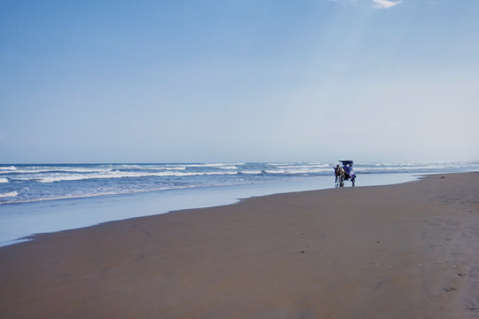a small delman or andong or horse-drawn carriage passing by Parangtritis beach, Yogyakarta, Indonesia