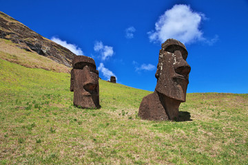 Rapa Nui. The statue Moai in Rano Raraku on Easter Island, Chili