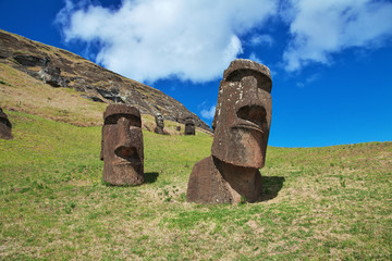 Rapa Nui. The statue Moai in Rano Raraku on Easter Island, Chili