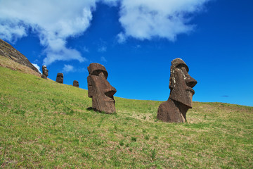 Rapa Nui. The statue Moai in Rano Raraku on Easter Island, Chili