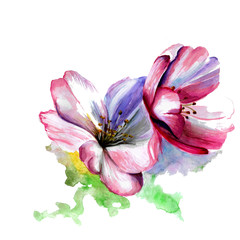 watercolor illustration with pink flowers and green leaves