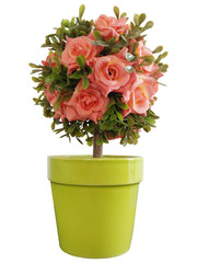 Vase decorate plants flowers rainy season green room hotel fresh interior beautiful wood tree floral wooden table office nature beadroom 