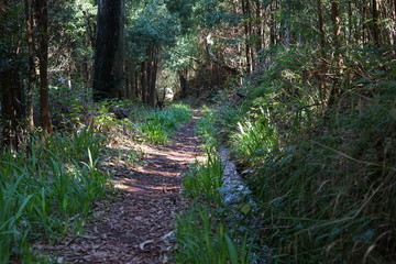 Mühlenlevada (Porto Moniz)