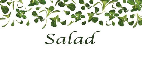 3D realistic lamb s lettuce on white background. Fresh green salad with copy space for your text. Vector illustration.