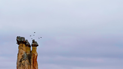 Fairy Chimneys at Pasabag, the valley of the monks in Goreme. Rock Formations with multihead stone mushroom fairy chimneys in Pasabag, Cappadocia, Turkey