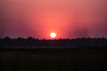 Obraz premium My lovely sun.