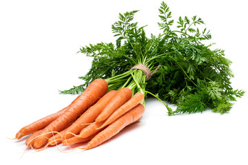 Bunch of new carrots isolated on white