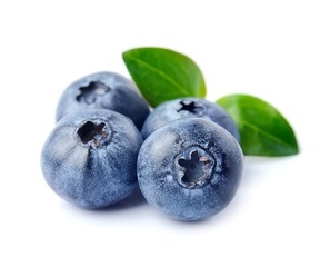 Berries of blueberrie macro.