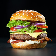 Fresh burger on dark background