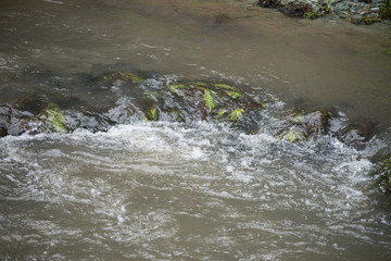 Thresholds of stones covered with green grass on mountain river with fast flow.