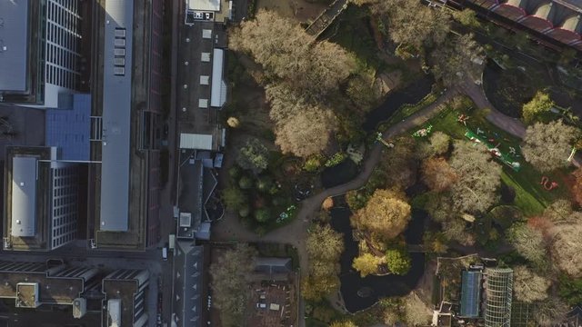 Antwerp Belgium Aerial v25 Vertical view flying over zoo, train station, Diamant district and Stadspark - November 2019