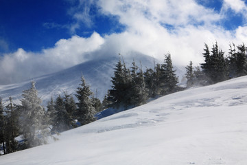 Fototapeta na wymiar Hoverla Mountain in winter.