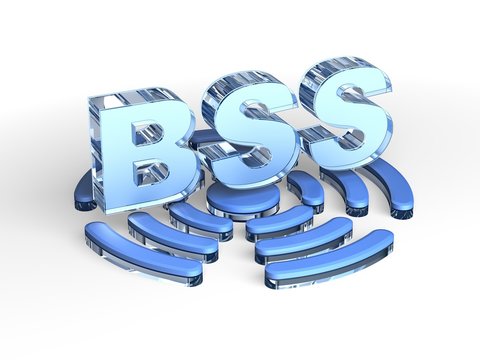 BSS acronym (Base station subsystem)