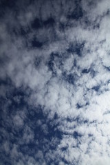 Cirrus clouds in backlight on the blue sky background. Abstract sketches of nature. The skies...