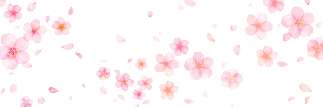 桜　花びら　春　花　水彩　　