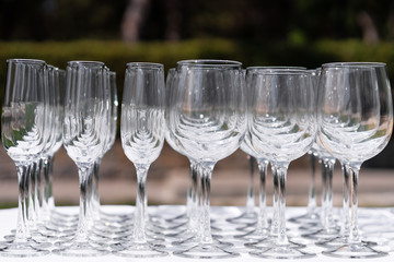 Set of blank empty wine glasses displayed in rows. Preparation for the holiday.