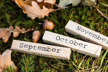 Decorative wooden calendar with date of Thanksgiving holiday, autumn decorations