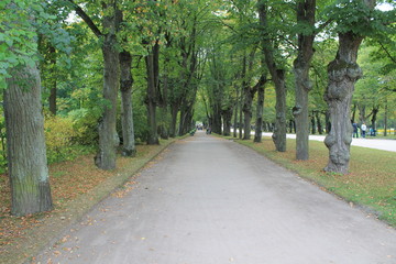 path in the Park