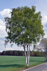 Wandern um Schmannewitz