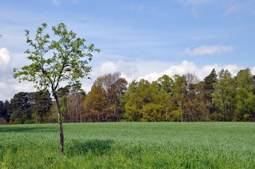 Wandern um Schmannewitz