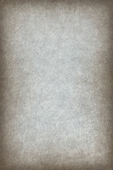 Antique Animal Skin Parchment Wizened Coarse Vignette Grunge Texture