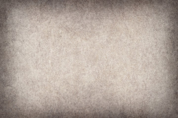 Antique Animal Skin Parchment Wizened Coarse Vignette Grunge Texture