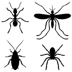 vector pictograms of four different insects in black. Ant, cockroach, spider, mosquito.